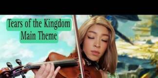 Main Theme – The Legend of Zelda: Tears of the Kingdom Violin #tearsofthekingdom #zelda