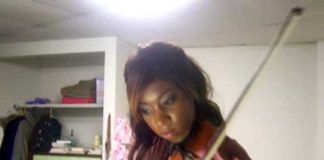 Full Metal Alchemist:Brajta Brothers violin cover